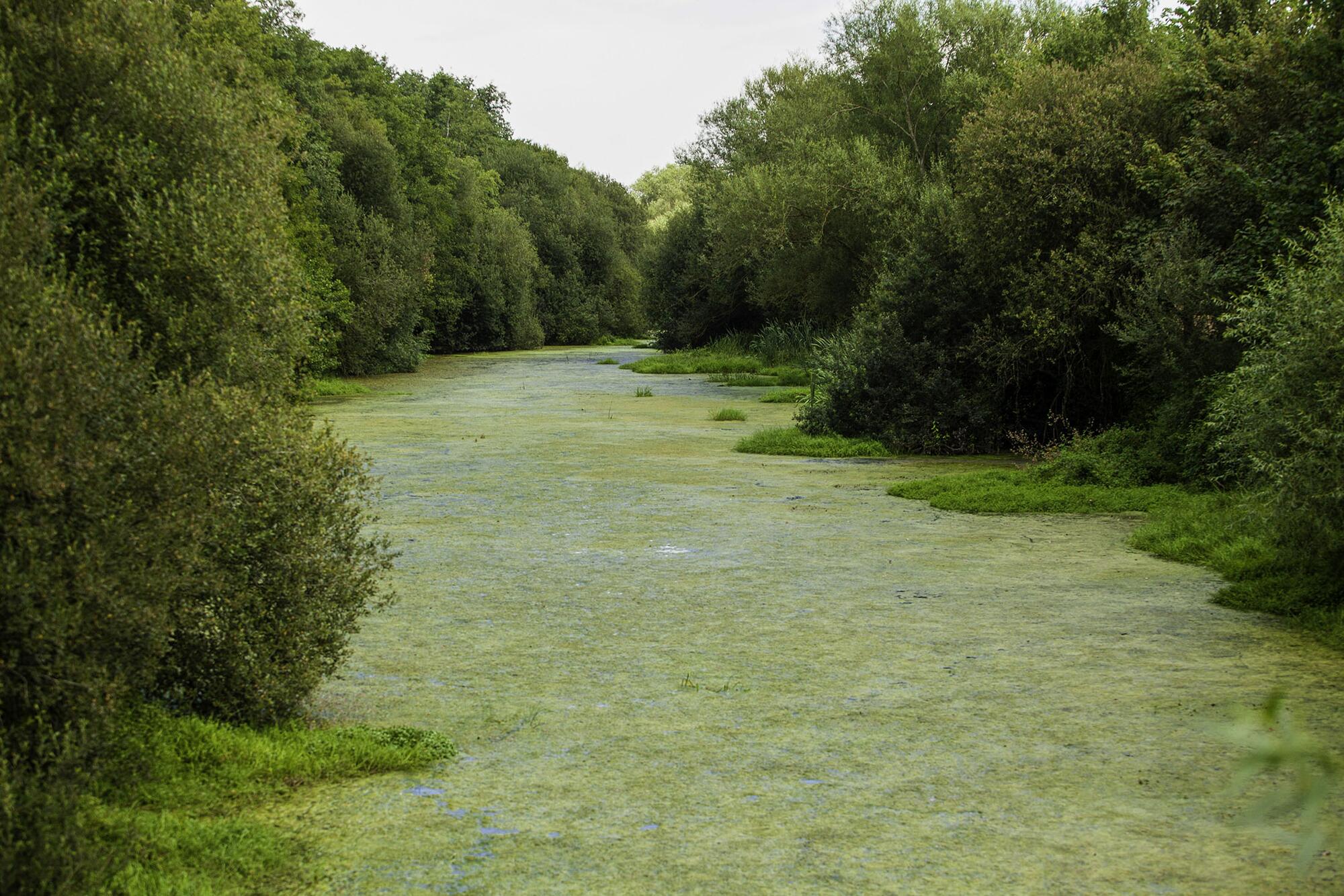 Embalse As Conchas 1